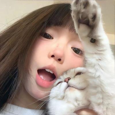 汪星人的奇思妙想 在线播放
